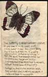 Journal Illustration #1
