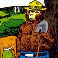 SMOKEY BEAR