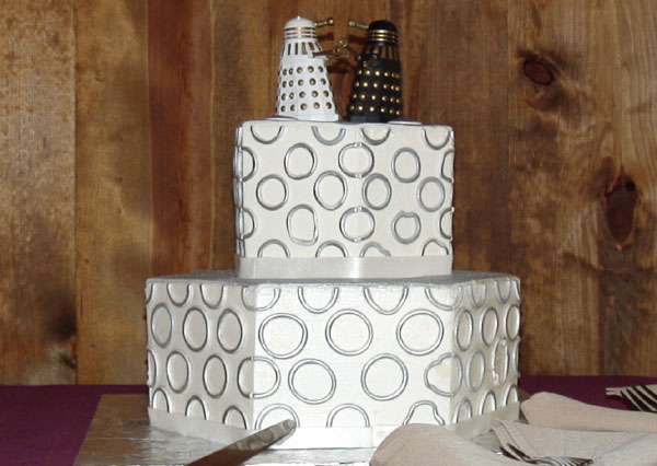 And here's our super awesome wedding cake You know you've found true love